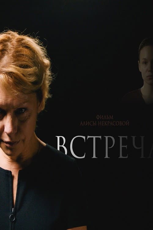 Встреча afişi