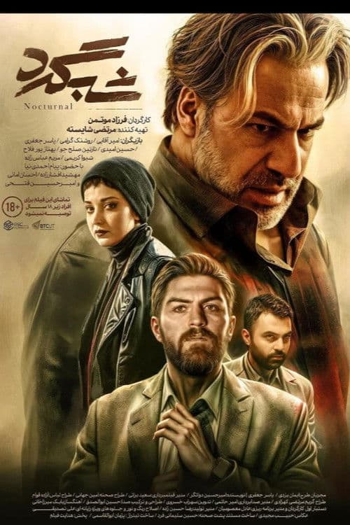 شبگرد afişi