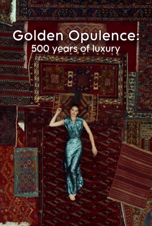 Lüksün İzinde: Anadolu'da 500 Yıllık Bir Yolculuk afişi