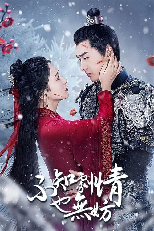 不知剧情也无妨 afişi