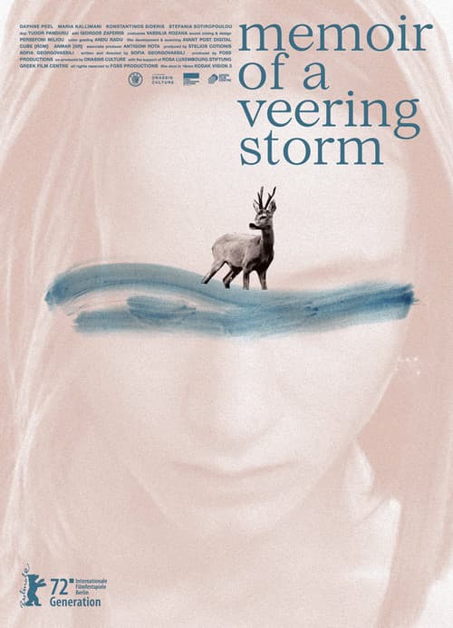 Memoir of a Veering Storm afişi