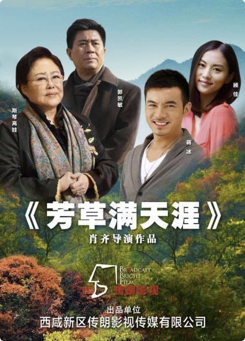 芳草满天涯 afişi