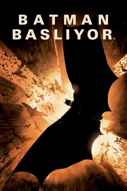 Batman Başlıyor afişi