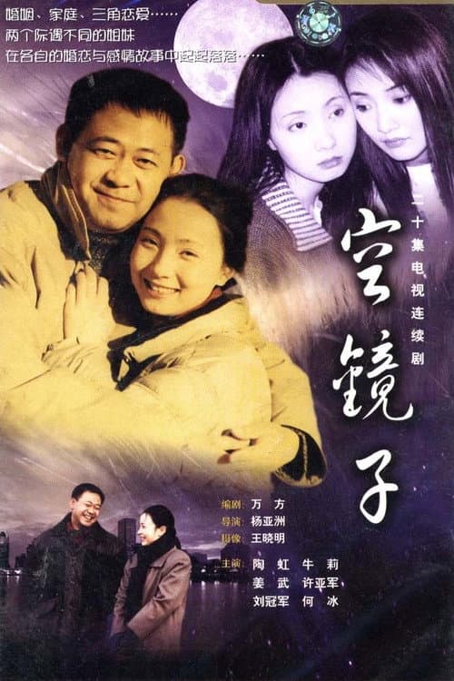 空镜子 afişi