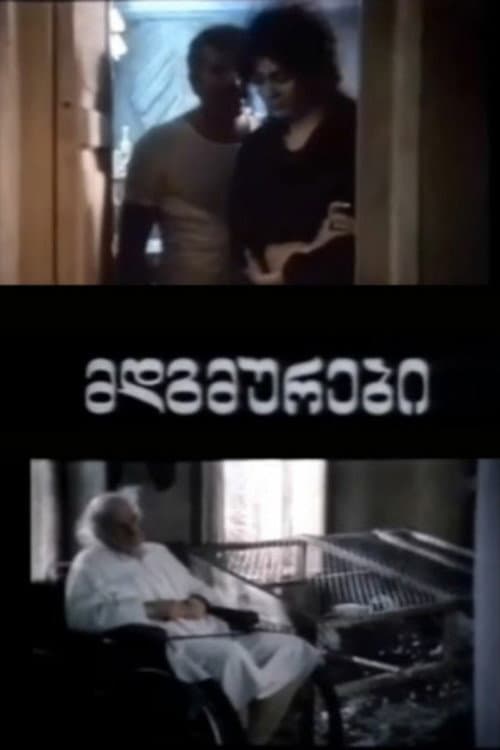 მდგმურები afişi