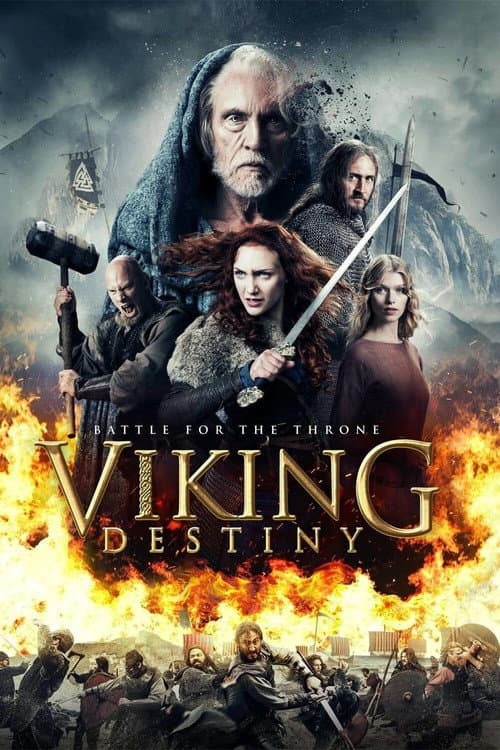 Viking Kanı afişi