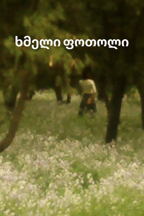 ხმელი ფოთოლი afişi