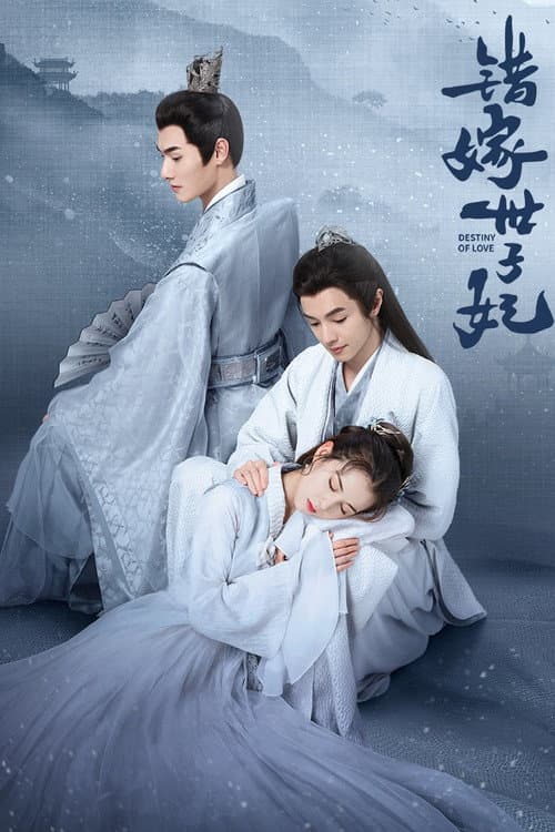 错嫁世子妃 afişi