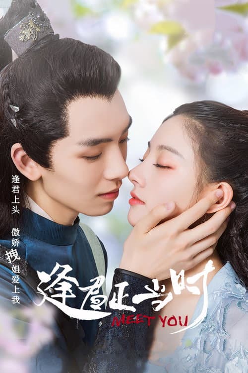 逢君正当时 afişi