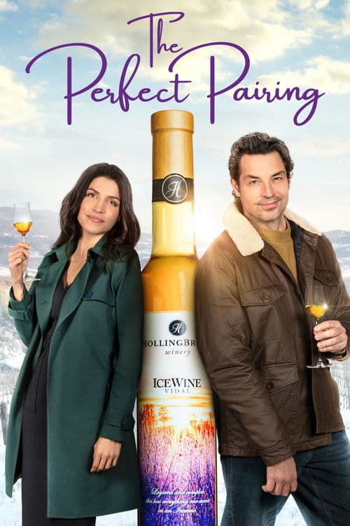 The Perfect Pairing afişi