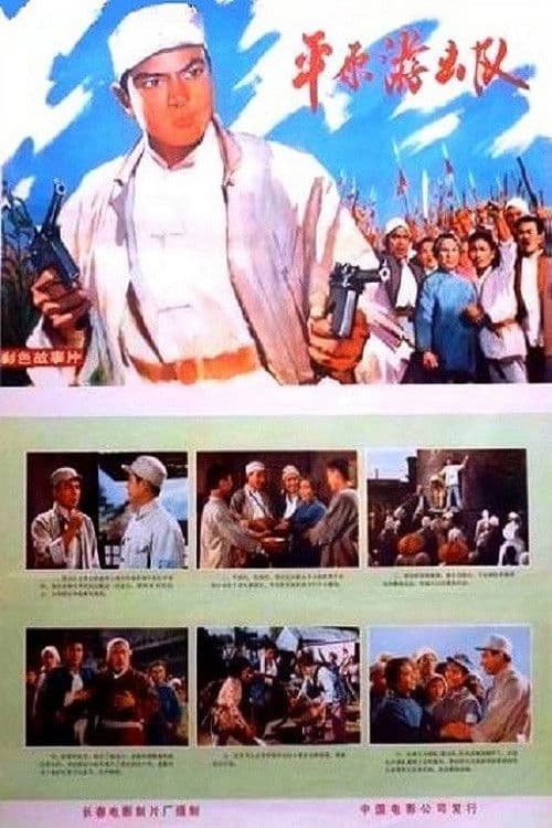 平原游击队 afişi
