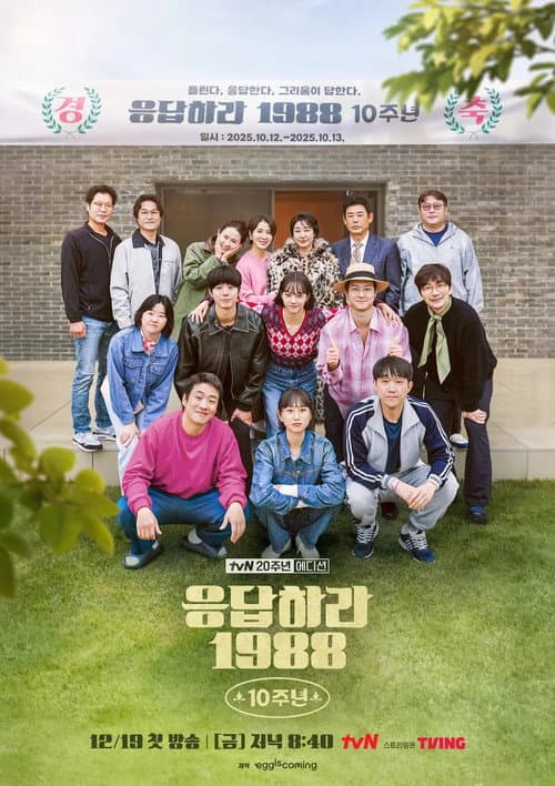 응답하라 1988 10주년 afişi