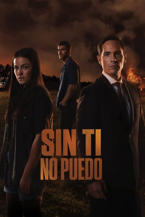 Sin ti no puedo afişi
