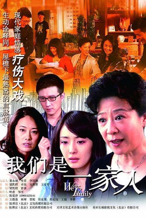 我们是一家人 afişi