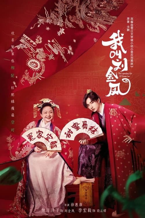 我叫刘金凤 afişi