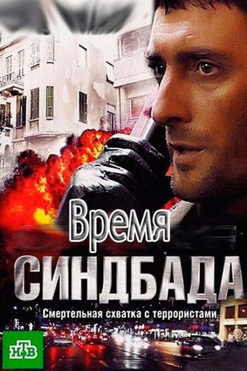 Время Синдбада afişi