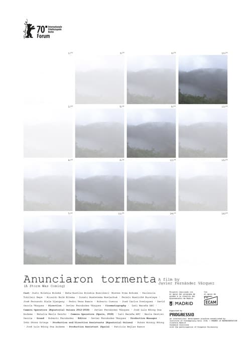 Anunciaron tormenta afişi