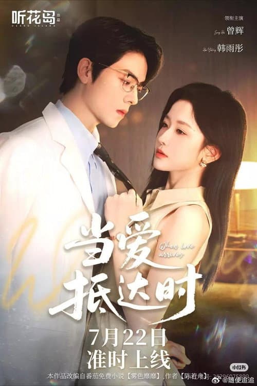当爱抵达时 afişi