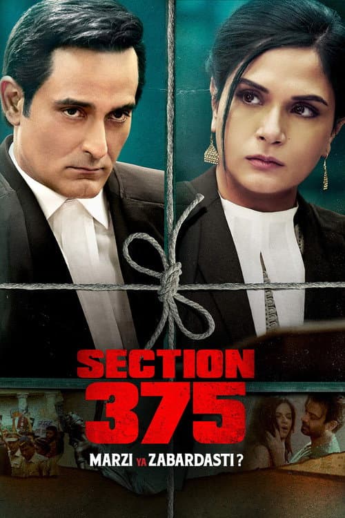 Section 375 afişi