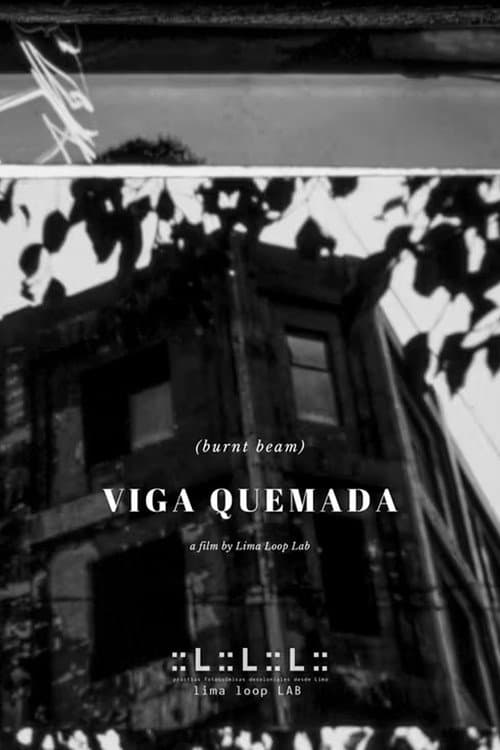 Viga Quemada afişi