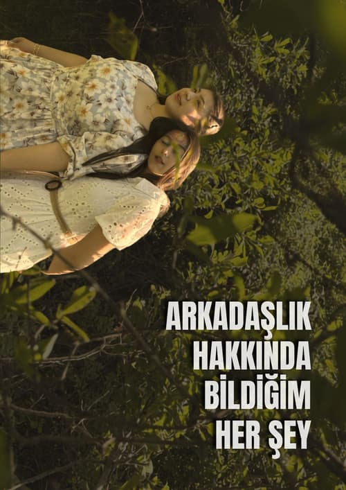 Arkadaşlık Hakkında Bildiğim Her Şey afişi