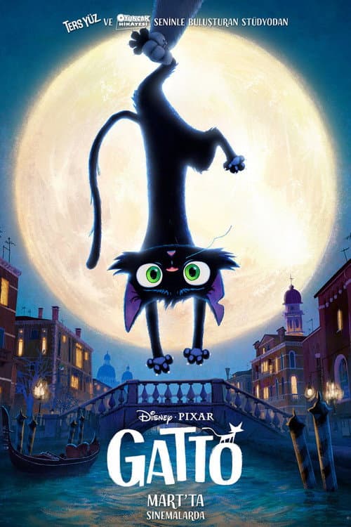 Gatto afişi