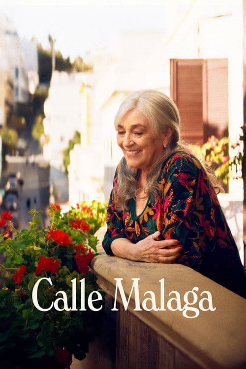 Calle Málaga afişi
