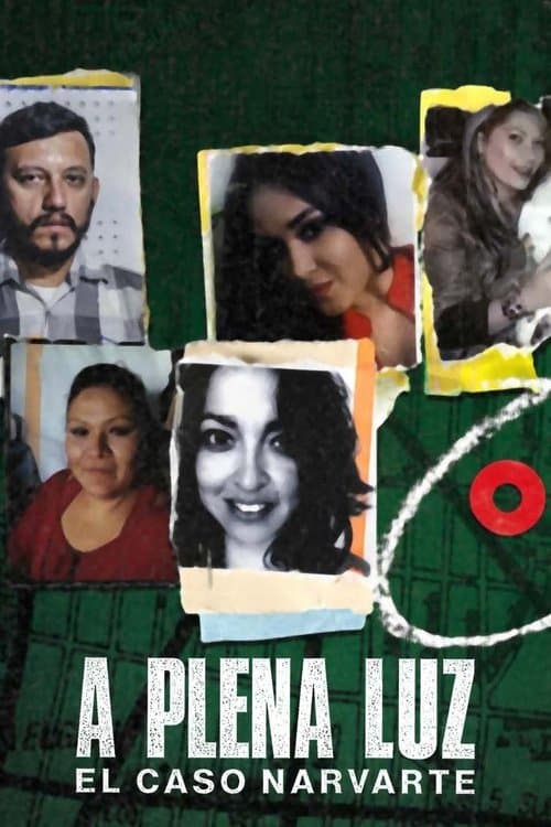 A plena luz: El caso Narvarte afişi