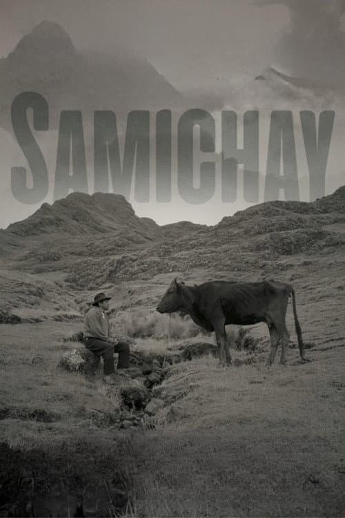 Samichay afişi