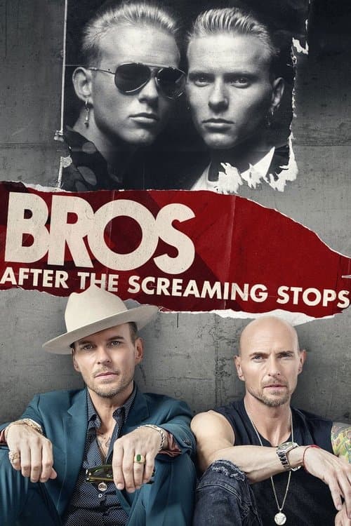 After the Screaming Stops afişi