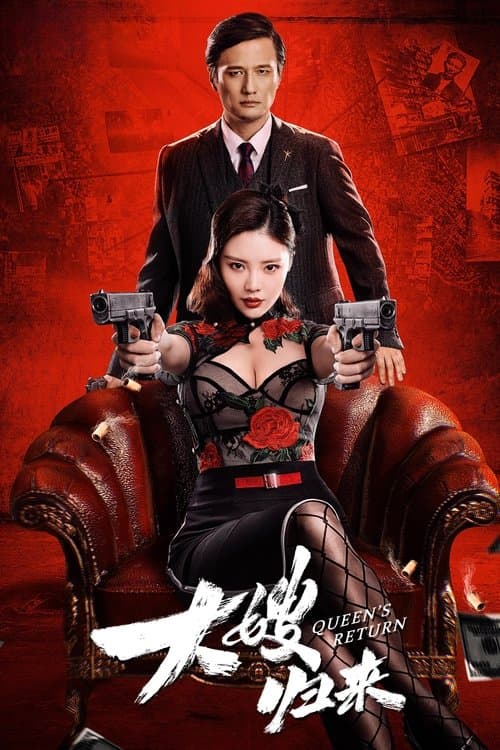 大嫂归来 afişi
