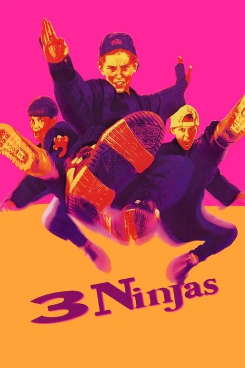 3 Küçük Ninja afişi