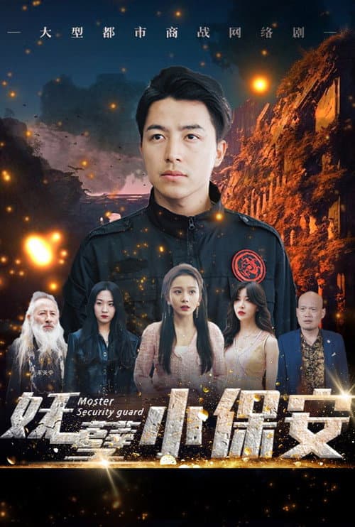 妖孽小保安 afişi