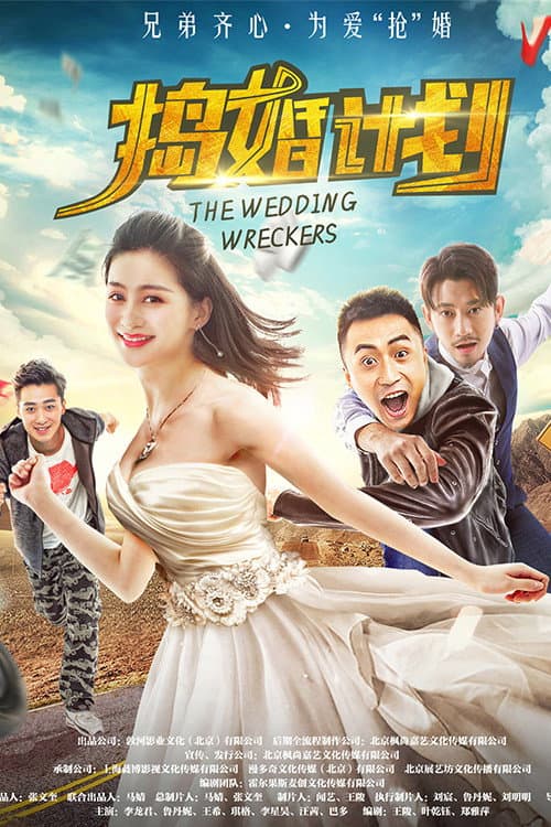 捣婚计划 afişi