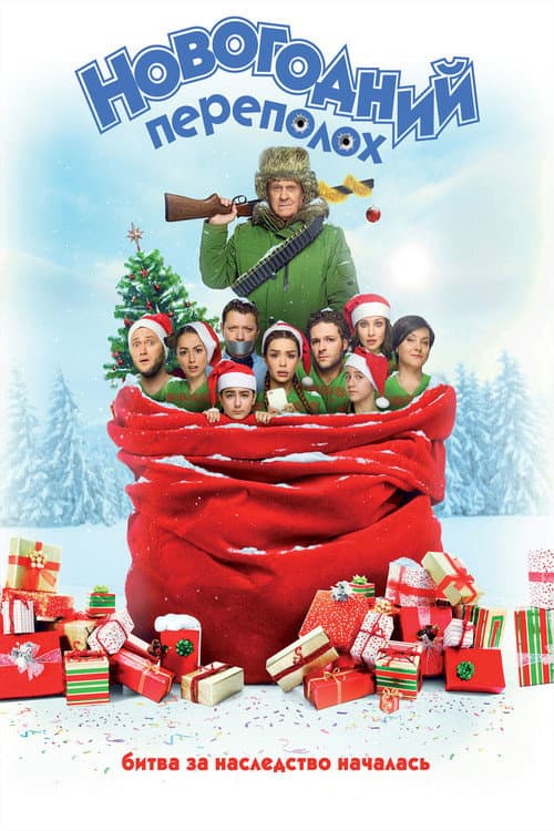 Новогодний переполох afişi