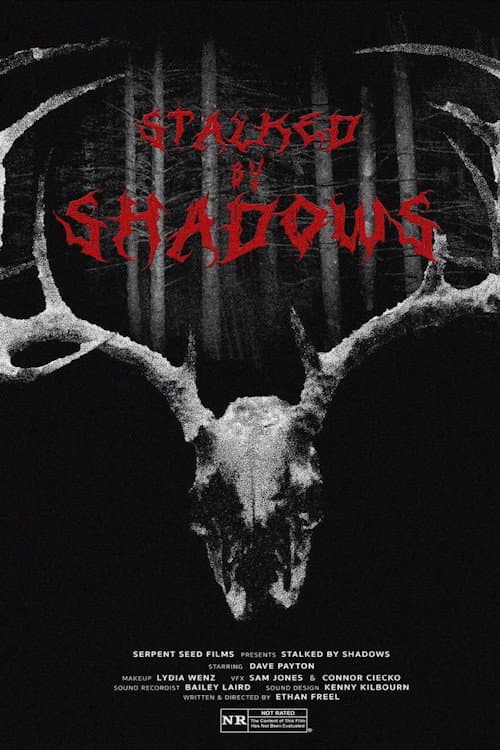 Stalked by Shadows afişi