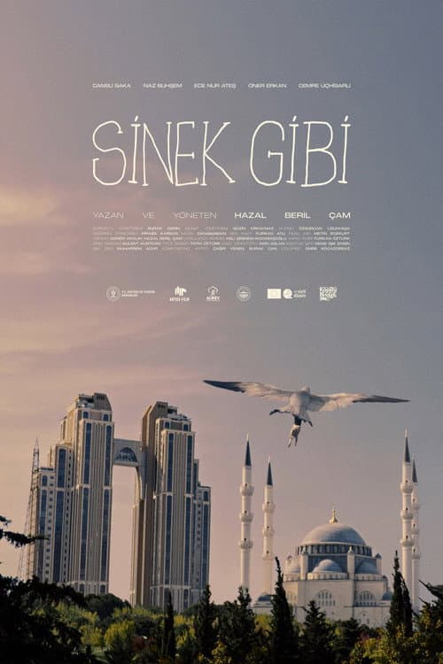 Sinek Gibi afişi