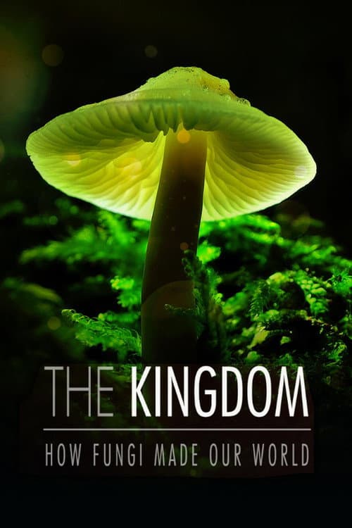 The Kingdom: How Fungi Made Our World afişi