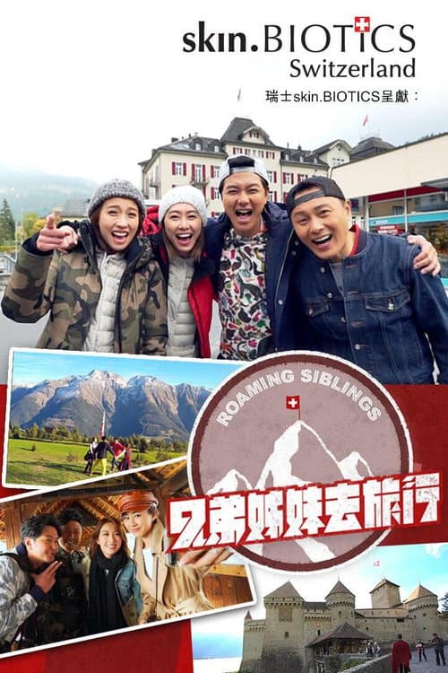 兄弟姊妹去旅行 afişi