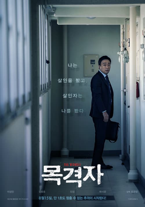 목격자 afişi