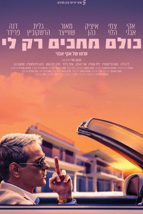 כולם מחכים רק לי afişi