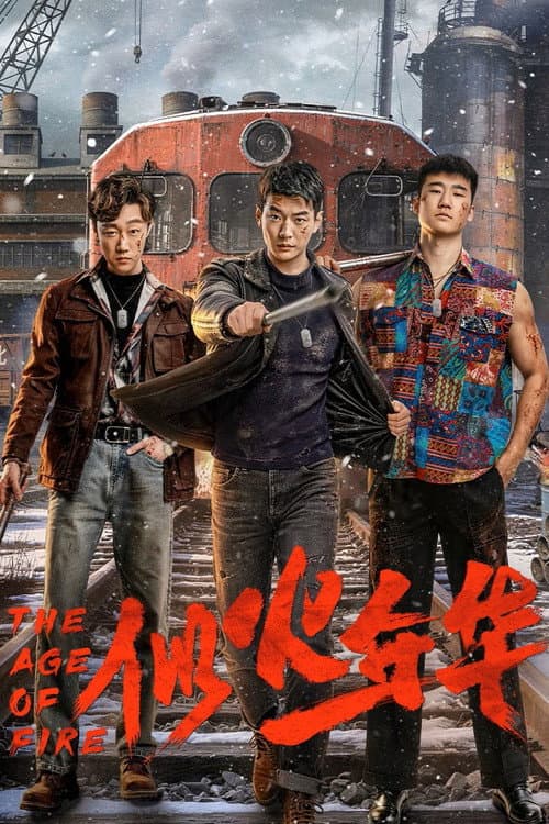 似火年华 afişi