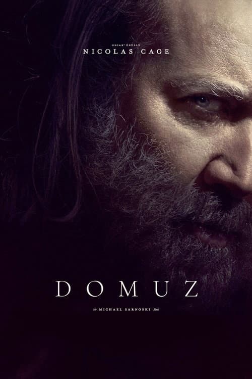 Domuz afişi