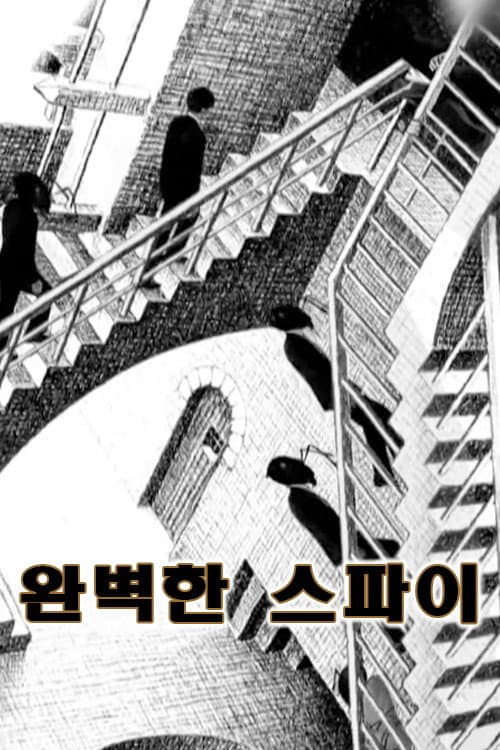 완벽한 스파이 afişi