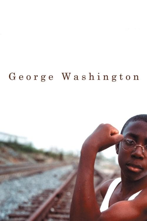 George Washington afişi
