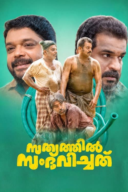 സത്യത്തിൽ സംഭവിച്ചത് afişi