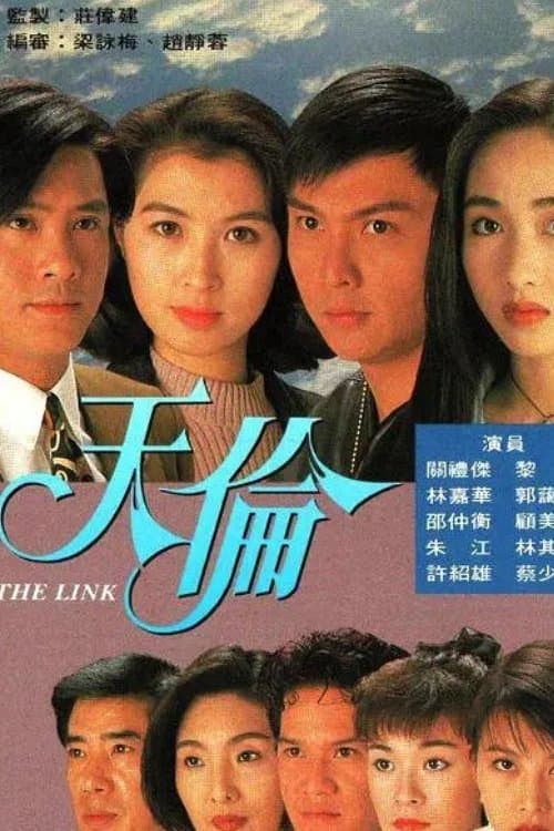 天伦 afişi