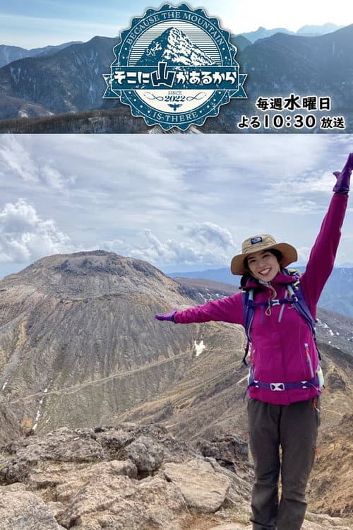 そこに山があるから afişi