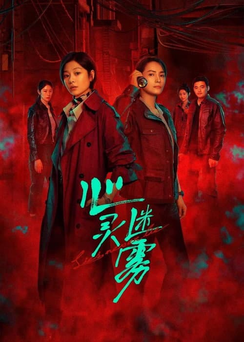 心灵迷雾 afişi