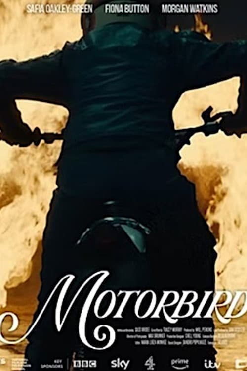 Motorbird afişi